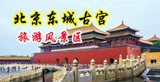 肏杨玉环电影中国北京-东城古宫旅游风景区